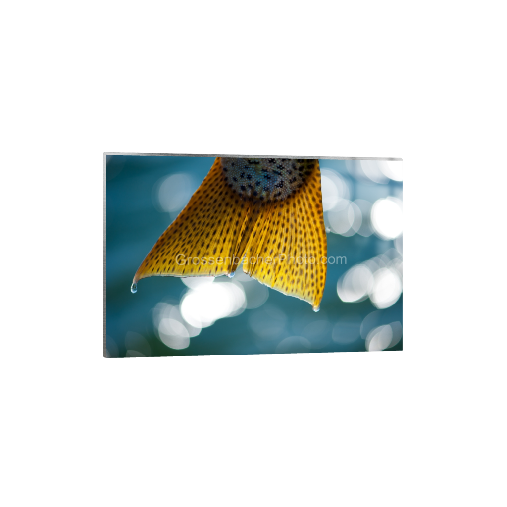 ptq_13_3_1_0_1996_1331_0_false_ffffff_0_0_cbf75f5d3160e323aff975a166291bc5.png