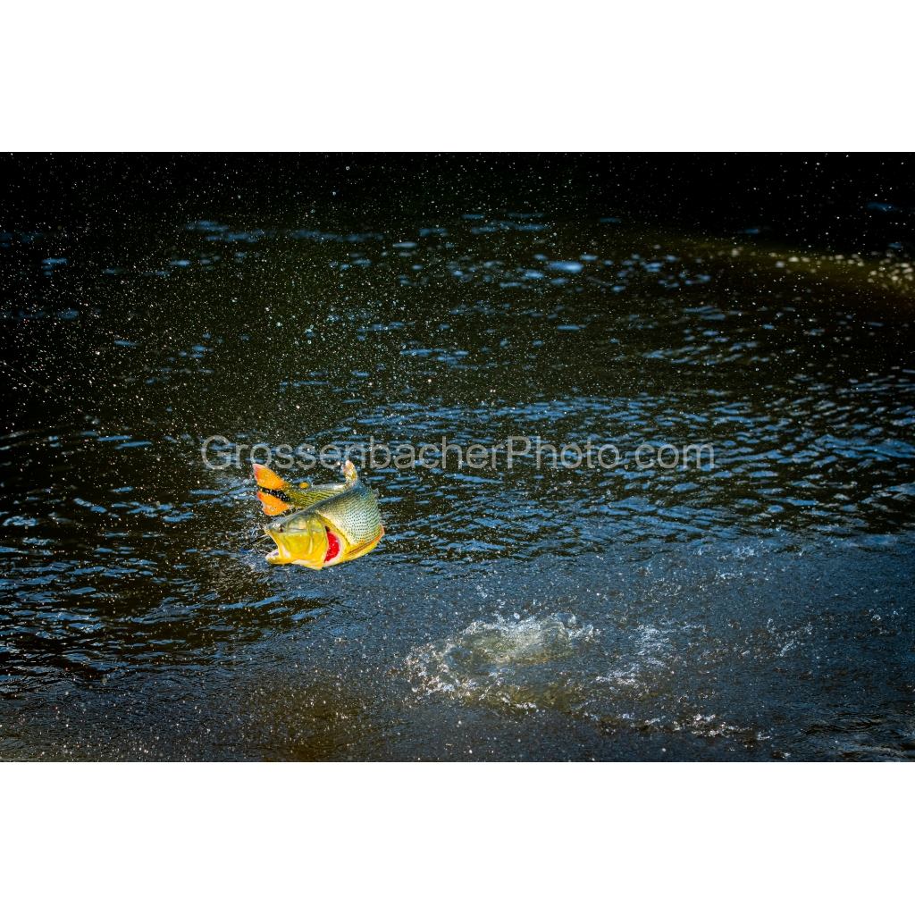 image_original_cbf75f5d3160e323aff975a166291bc5.png