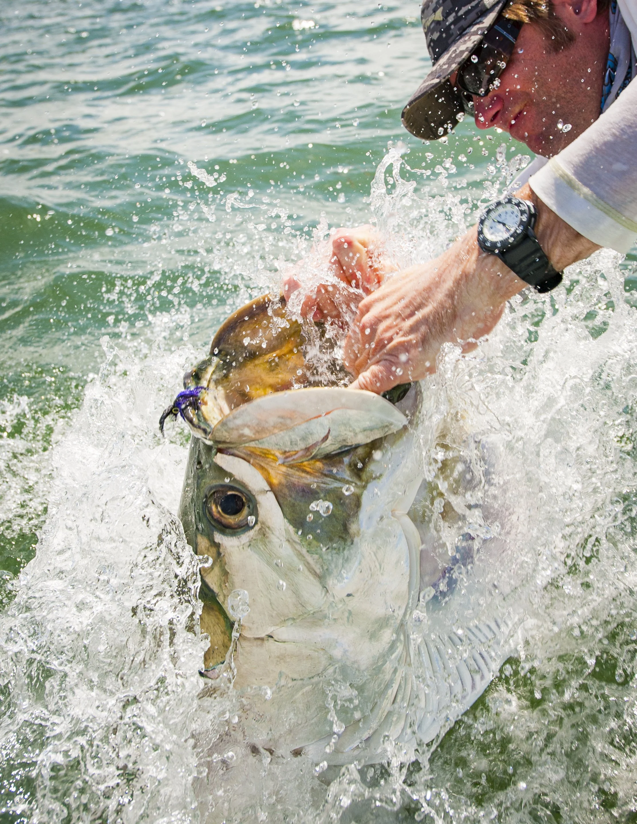 Tarpon at Boat, Landing Tarpon, Jumping Tarpon, Florida, Fly Fishing, Orvis,