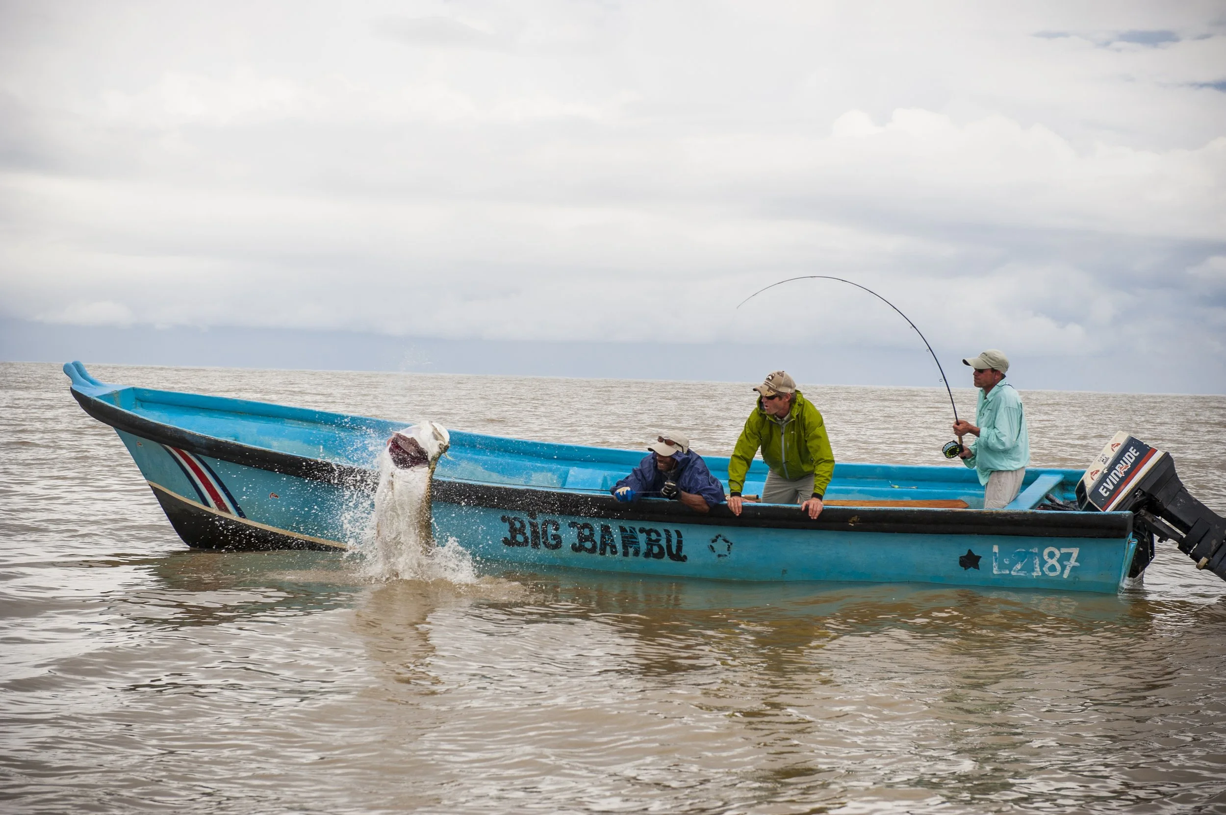 Tarpon, Costa Rica, Fly Fishing,