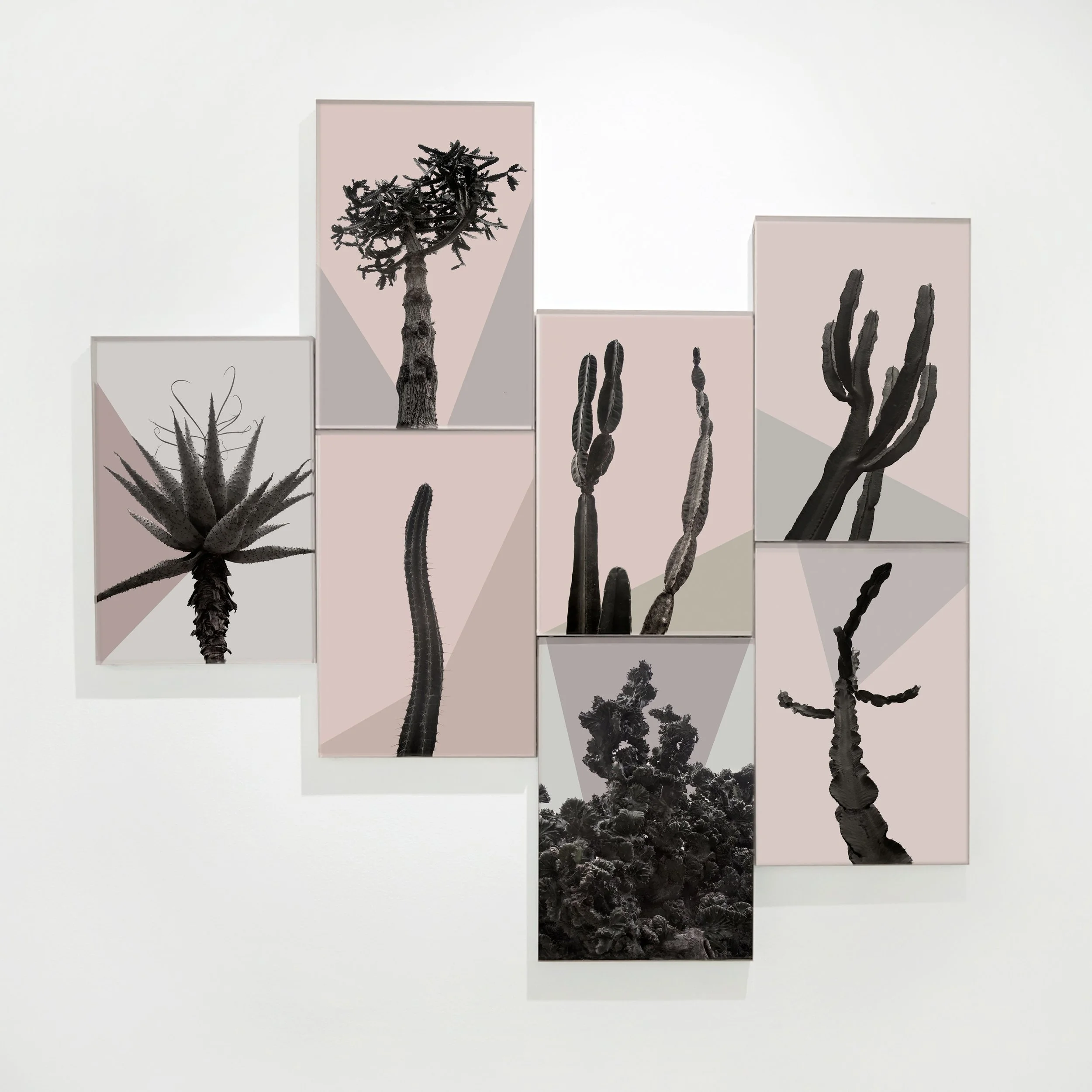 "Os Sexos" (2015) | 30x20cm (cada) | Impressão fine art em metacrilato | Edição 6/15