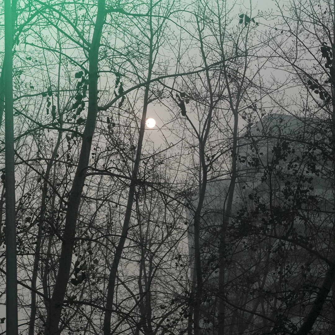 "After Shoot I" (2016) | 80x80cm | Impressão Fine art papel Hahnemühle photo RAG 308gms e papel de arroz Awagami. Montagem em moldura de madeira com vidro | Edição 3 