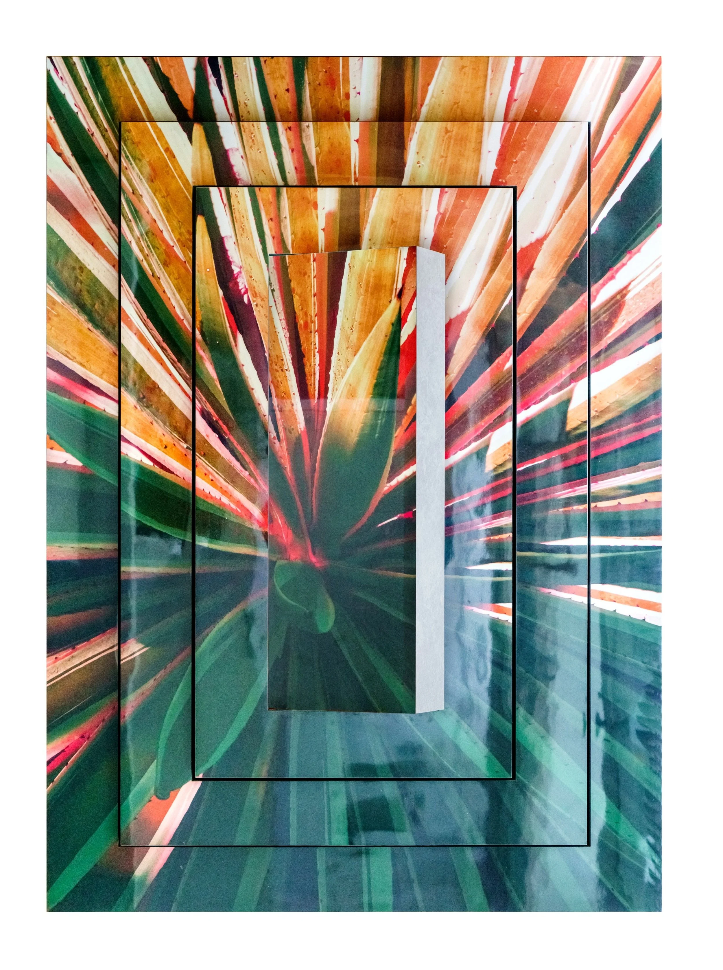 "Burle Marx Bromélha" (2020) | 80x125x10cm | Foto escultura impressa em fórmica montada em estrutura de MDF, obra de parede | Edição 2/3 