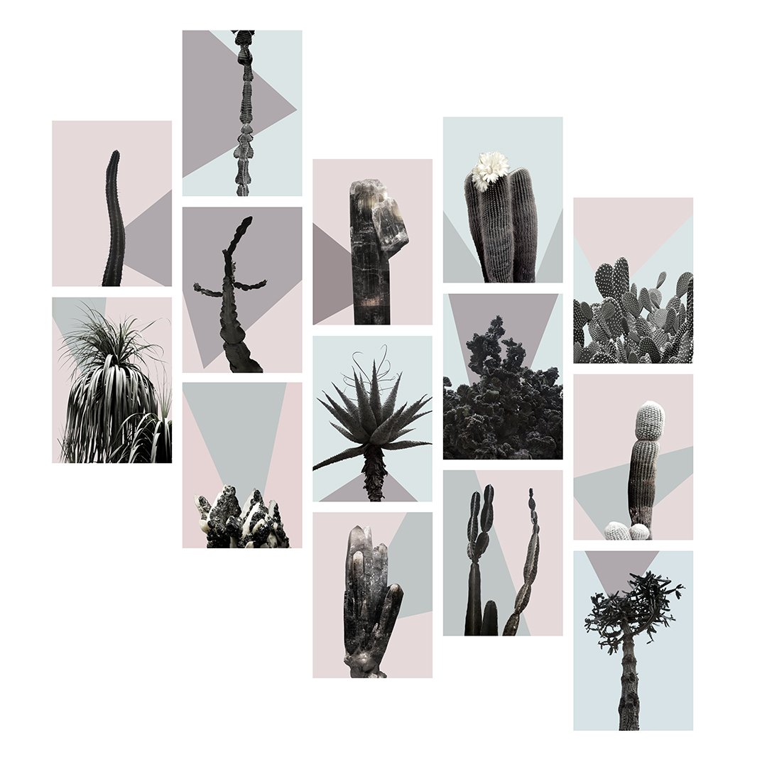 "Os Sexos II" (2015) | 30x20cm (cada) | Impressão fine art em metacrilato | Edição 2/15
