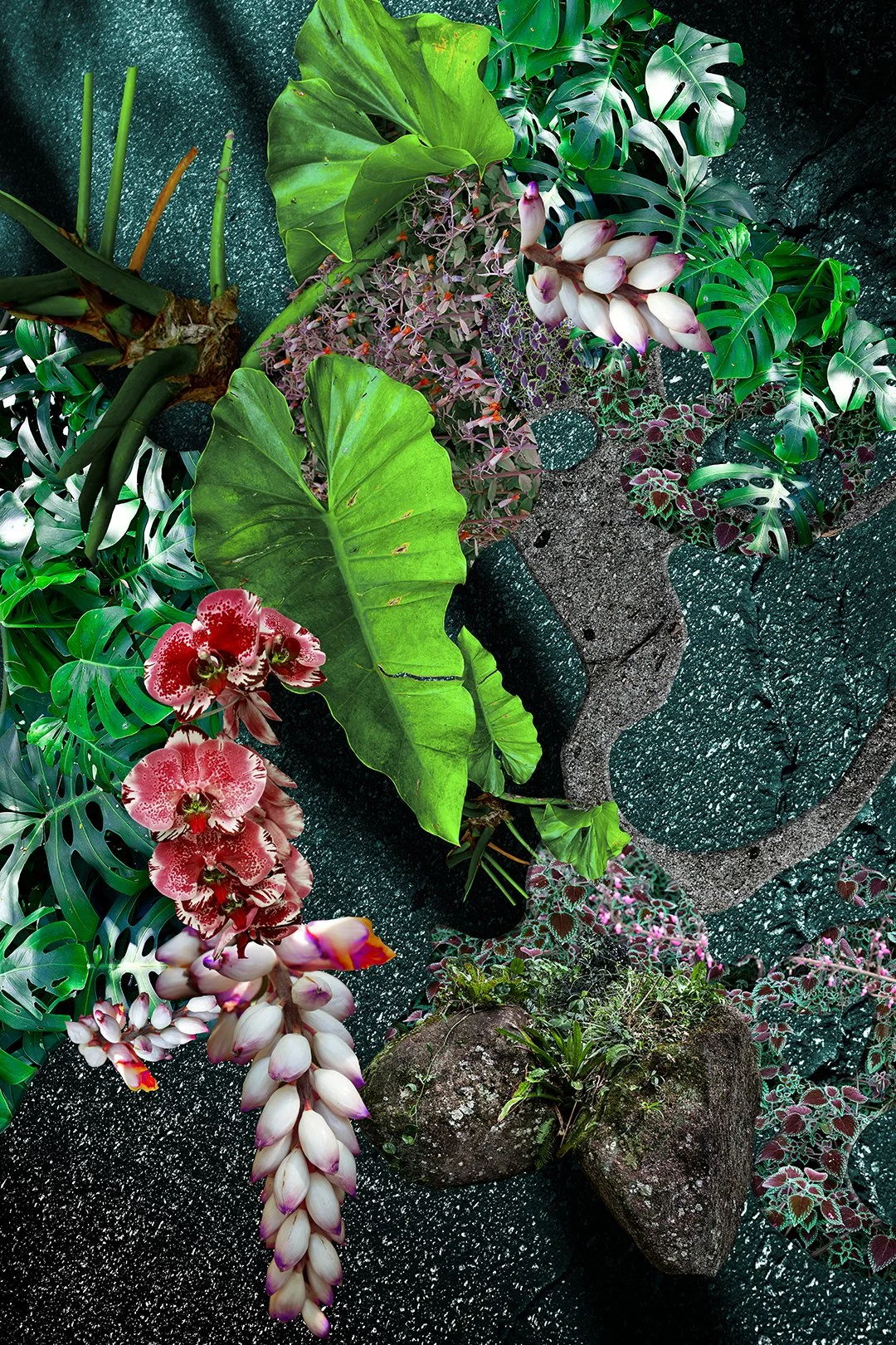 "Flor Do Asfalto X" (2023) | 100x66,5cm | Impressão Fine art em canvas Hahnemühle Cezanne 430gms com moldura de madeira preta | Edição 2/5 