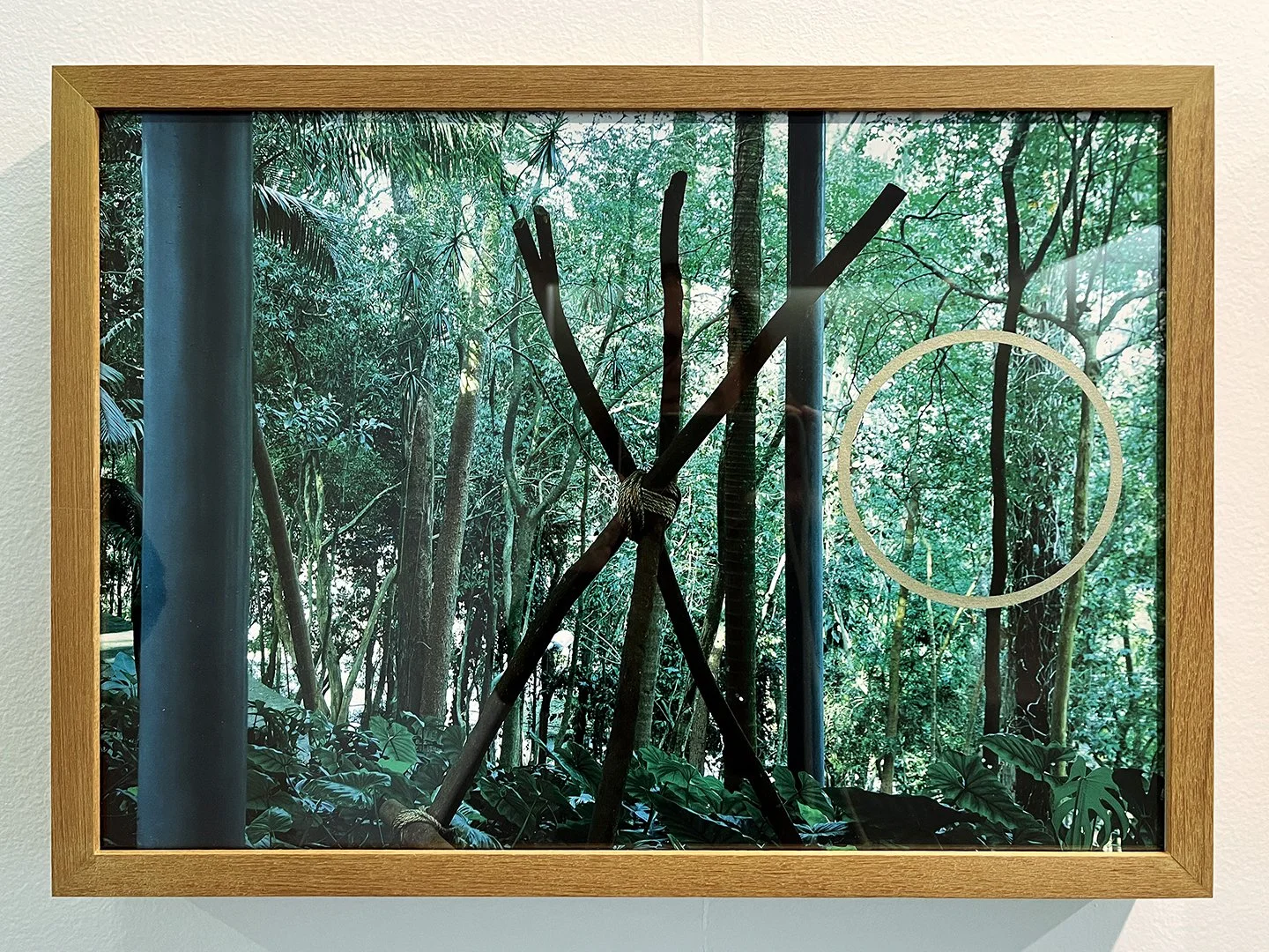 "Jardim" (2018) | 35cm x 50cm | Impressão fine art papel Hahnemühle photo RAG 308gms e serigrafia | Edição 20 