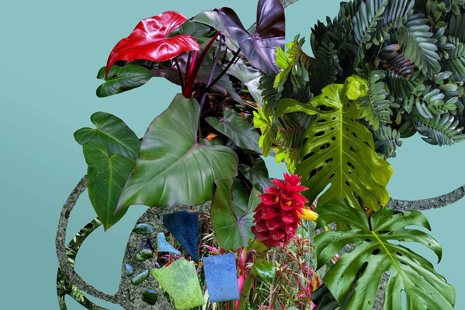 "Flor Do Asfalto XI" (2022) | 40x60cm | Impressão Fine art papel Hahnemühle photo RAG 308gms | Edição 1/20 