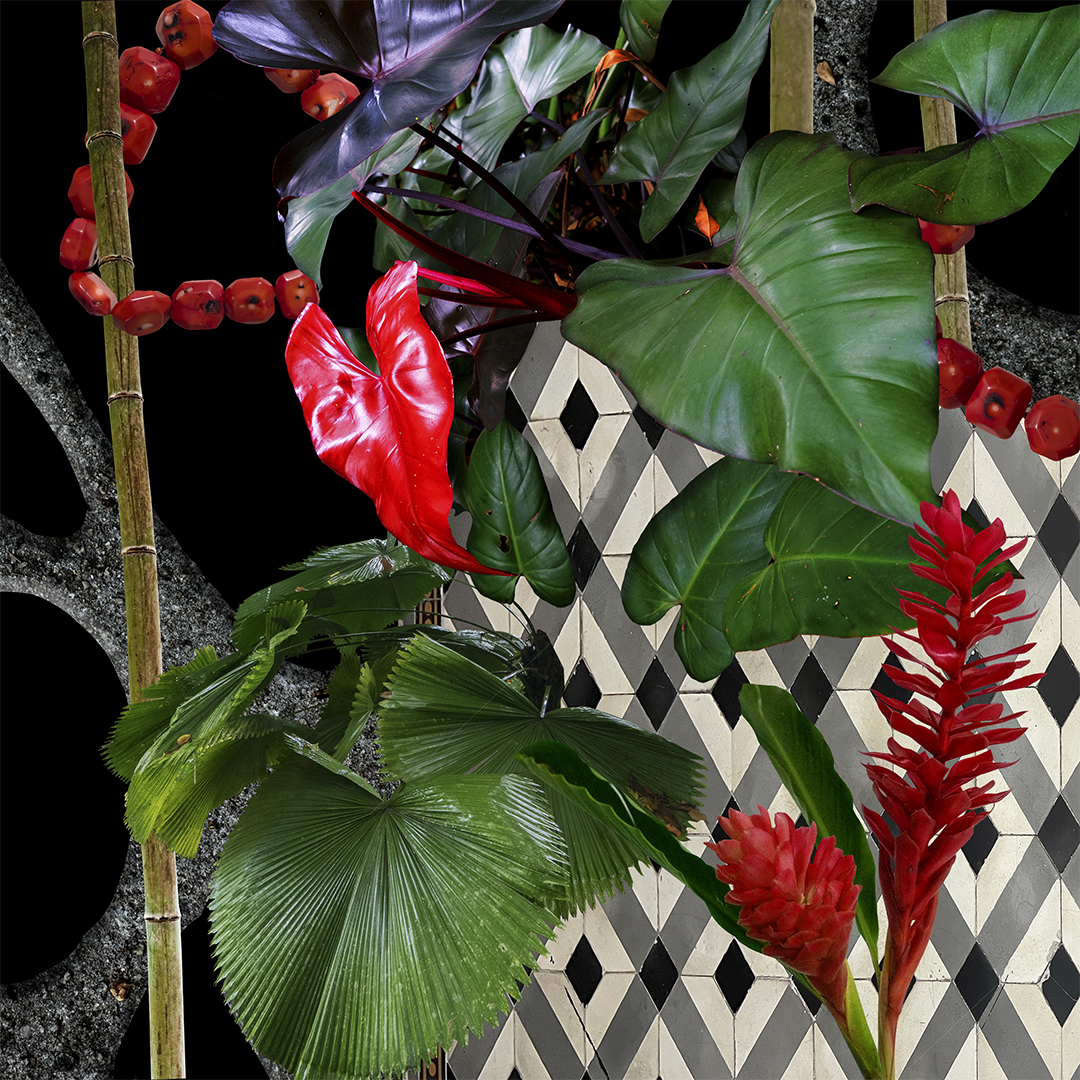 "Flor Do Asfalto XI" (2023) | 30x30cm | Impressão Fine art em canvas Hahnemühle Cezanne 430gms com moldura de madeira preta | Edição 2/5 