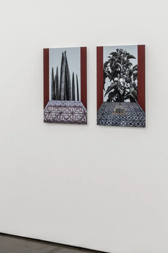 "Cactos III e IV" (2015) | 70x46cm | Impressão Fine art papel Hahnemühle photo RAG 308gms, moldura em madeira pintada em cinza | Edição 2/5