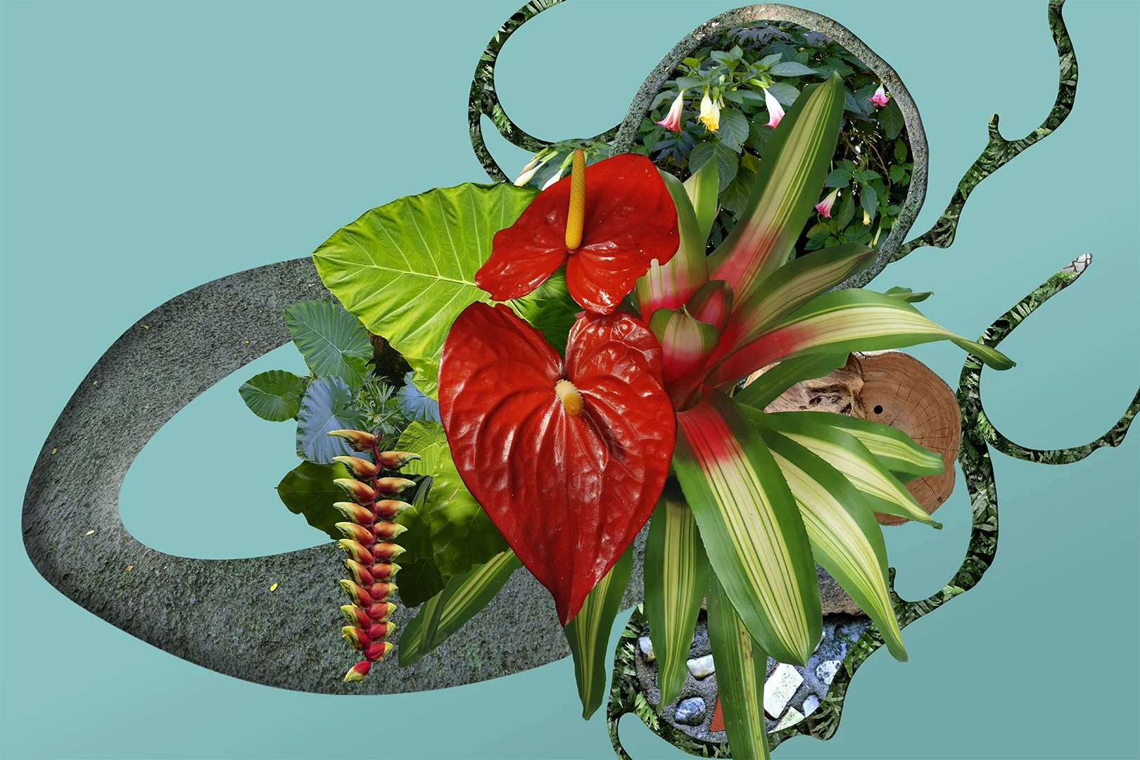 "Flor Do Asfalto VI" (2022) | 40x60cm | Impressão Fine art papel Hahnemühle photo RAG 308gms | Edição 1/20 