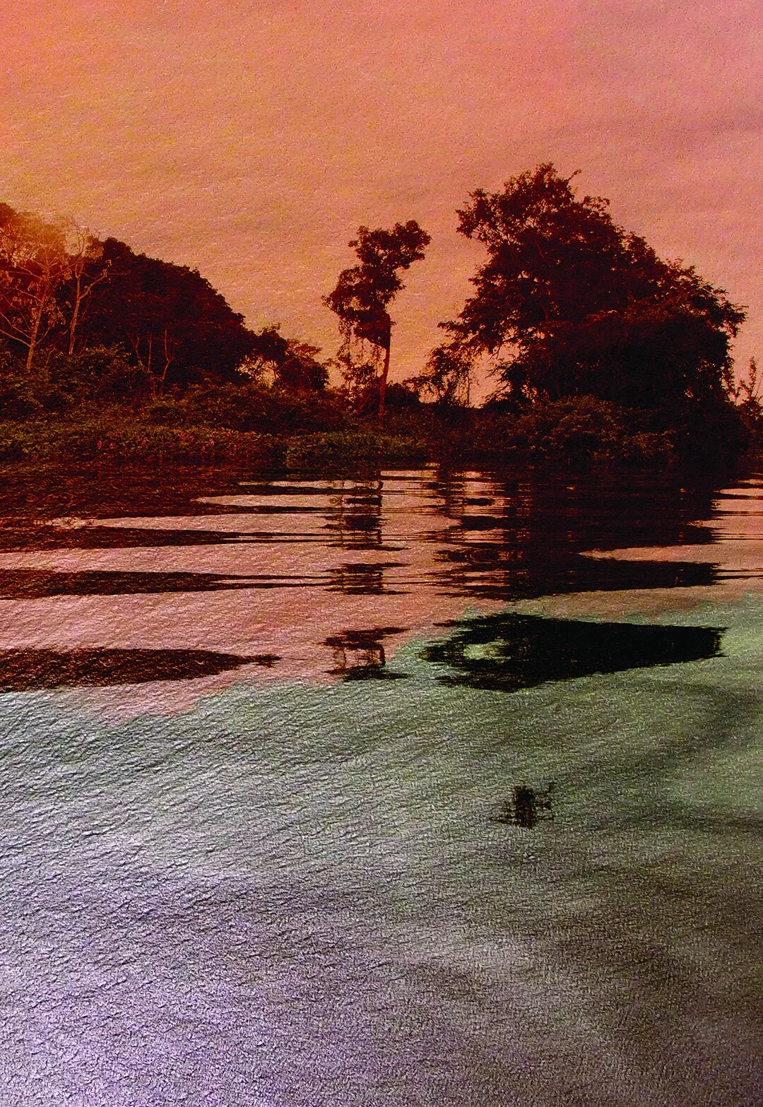 "Confluência IX" (2019) | 25,5x37cm | Impressão Fine art papel Hahnemühle RAG 308gms | Edição 20 