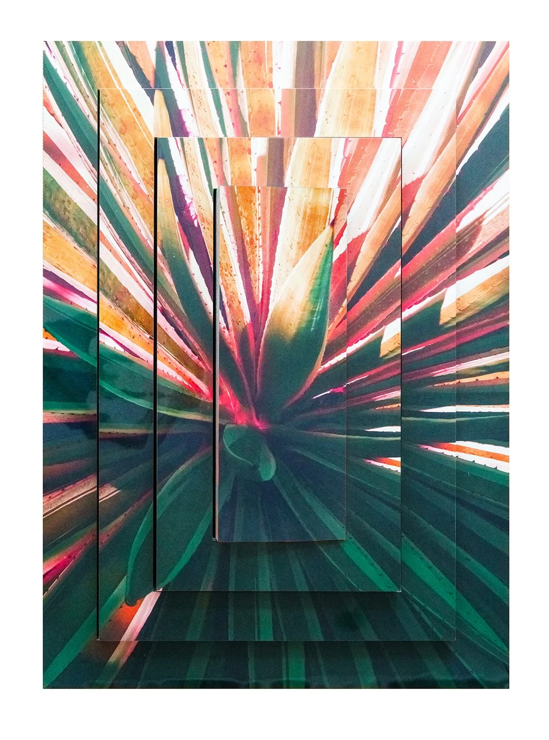 "Burle Marx Bromélha" (2020) | 80x125x10cm | Foto escultura impressa em fórmica montada em estrutura de MDF, obra de parede  | Edição 2/3 