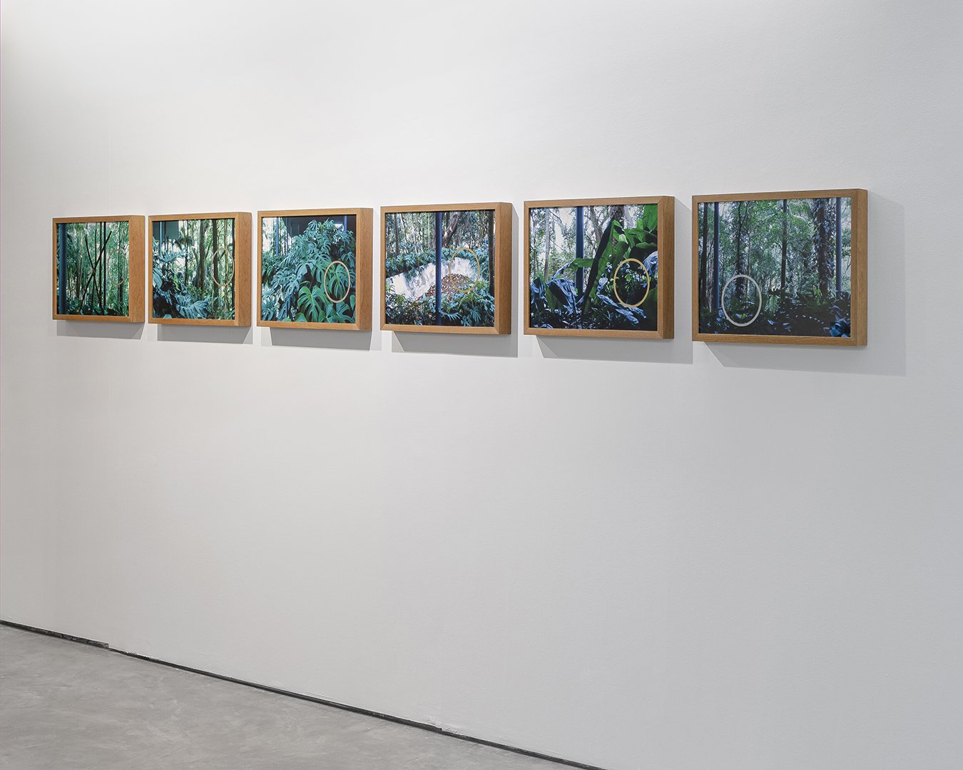 "Jardim" (2018) | 35cm x 50cm | Impressão fine art papel Hahnemühle photo RAG 308gms e serigrafia | Edição 20 