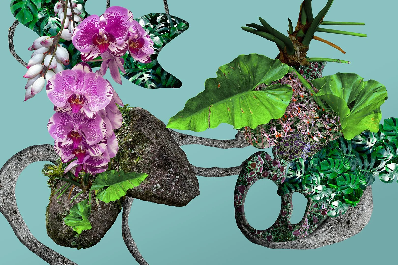 "Flor Do Asfalto VIII" (2022) | 40x60cm | Impressão Fine art papel Hahnemühle photo RAG 308gms | Edição 1/20 