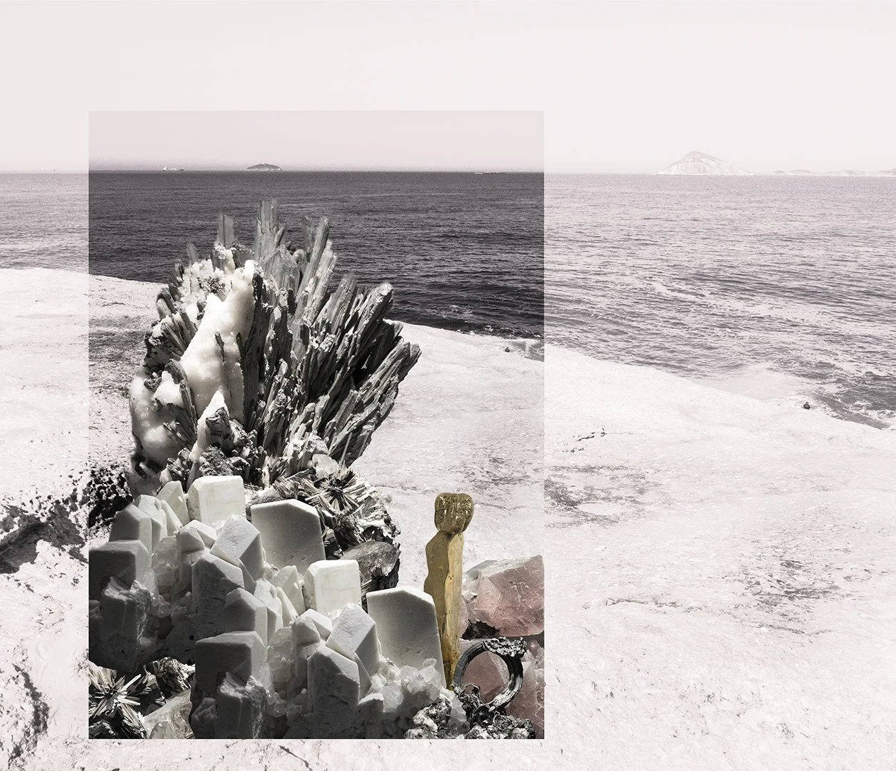 "Cactos VI" (2015) | 33x49x7cm | Impressão Fine art papel Hahnemühle photo RAG 308gms, montagem em caixa acrílica | Edição 1/5