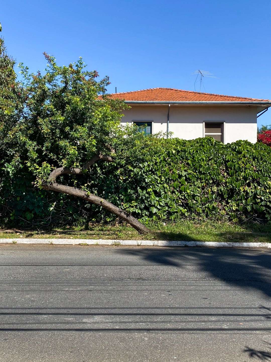 Vizinhos-25-net.jpg