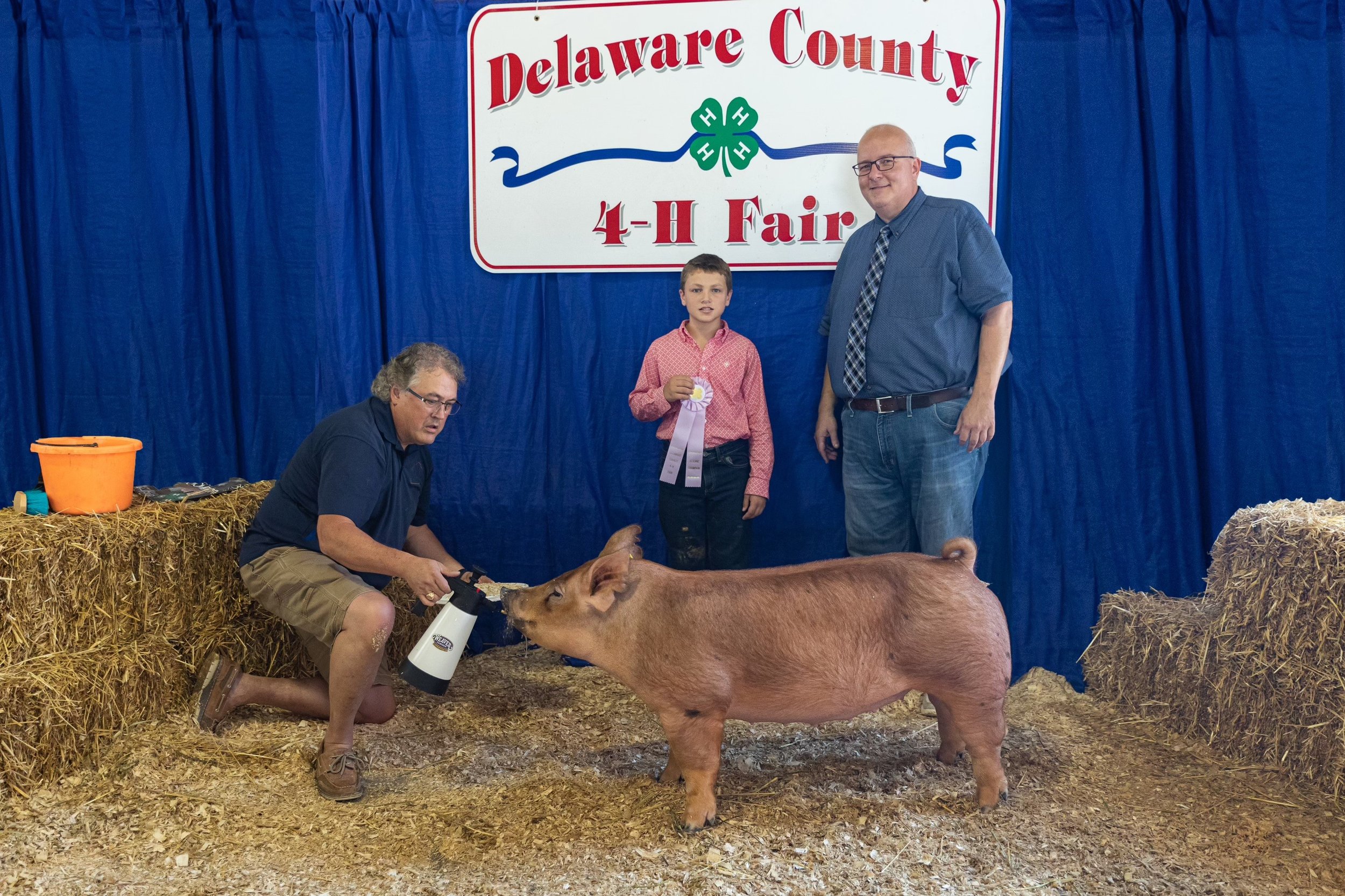 Delta — Shaffer's Goldrush