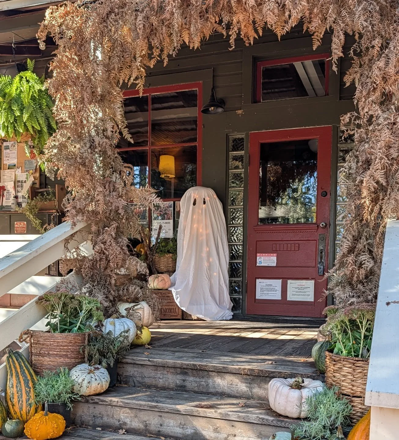 Happy HALLoween week! We have two super fun festive shows this week! Friday a haunted Honky Tonk kinda night with @thebestintentionsband (Bret of Countryside Ride). Saturday a jamming monster mash with @bluegyptianband doing a tribute to the Police. 