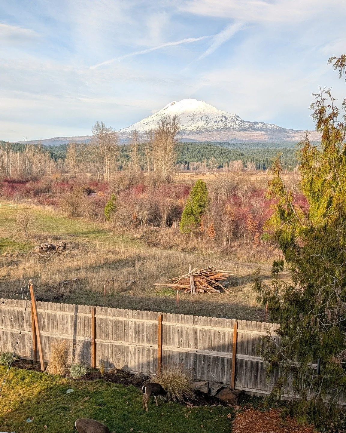 THIS WEEK AT THE HALL - November 27 &ndash; December 1, 2025
We're getting the hall cozy and ready for the holidays!

Thursday, November 27 &mdash; CLOSED
Happy Thanksgiving!

We&rsquo;re grateful for this community and hope you enjoy a cozy day with