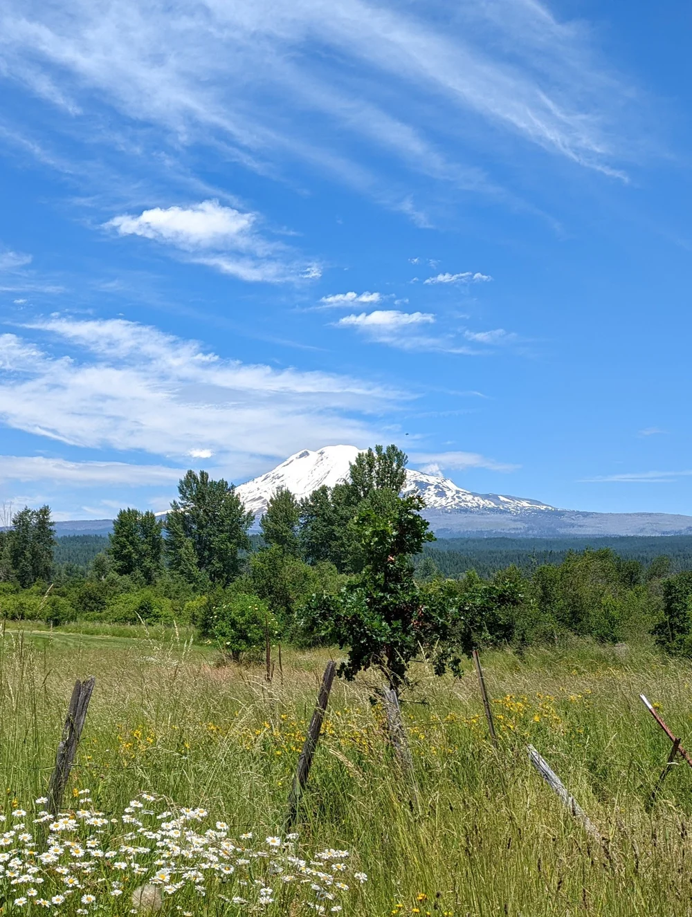 About — Trout Lake Hall