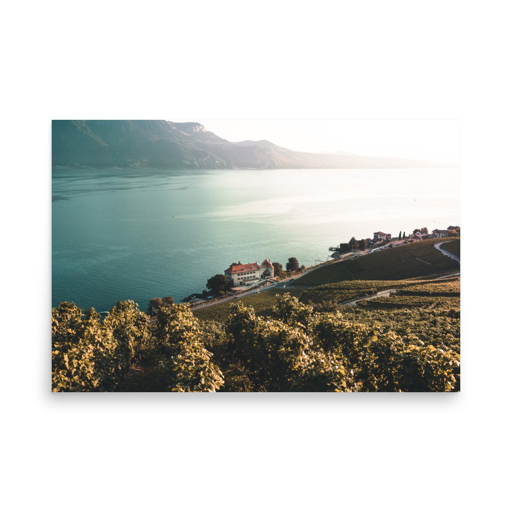 premium-luster-photo-paper-poster-(in)-24x36-front-63aa1f81812f9.jpg