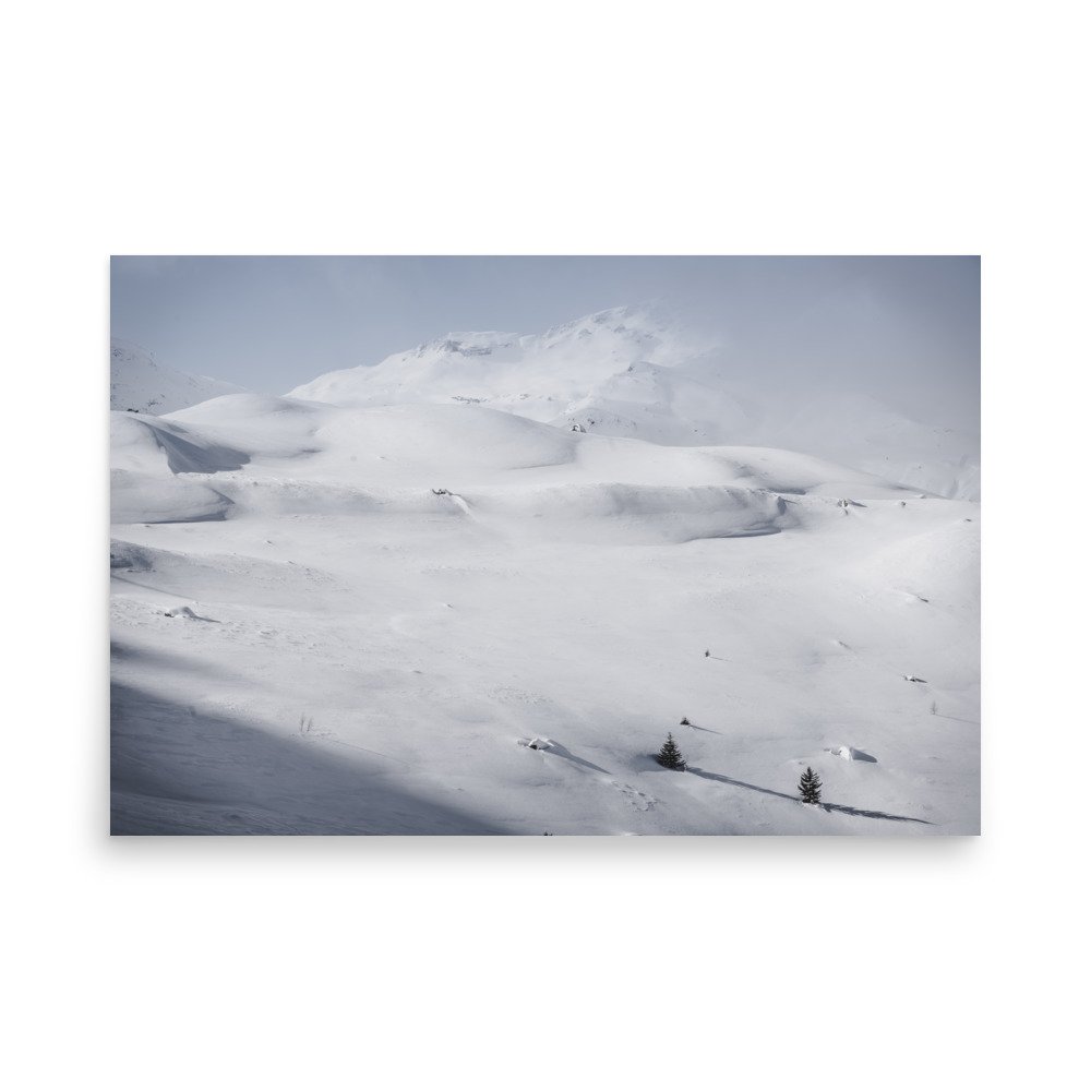 premium-luster-photo-paper-poster-(in)-24x36-front-63aafa356088d.jpg