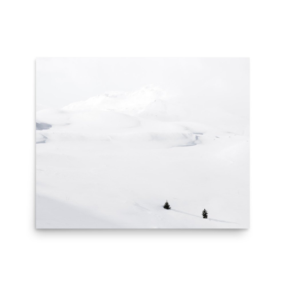 premium-luster-photo-paper-poster-(in)-16x20-front-63aafaaccf2c3.jpg
