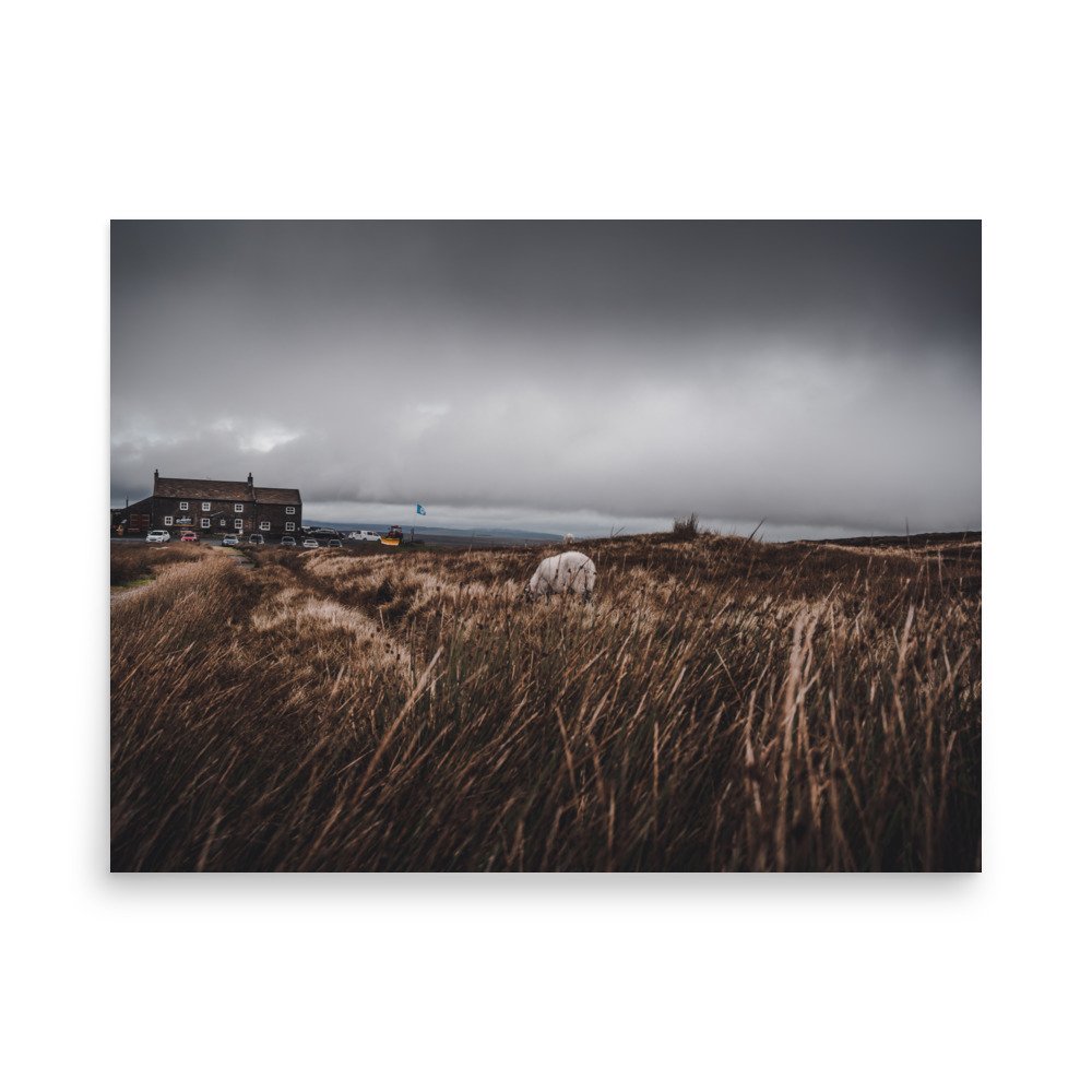 premium-luster-photo-paper-poster-(in)-18x24-front-63ab2e4a608f0.jpg