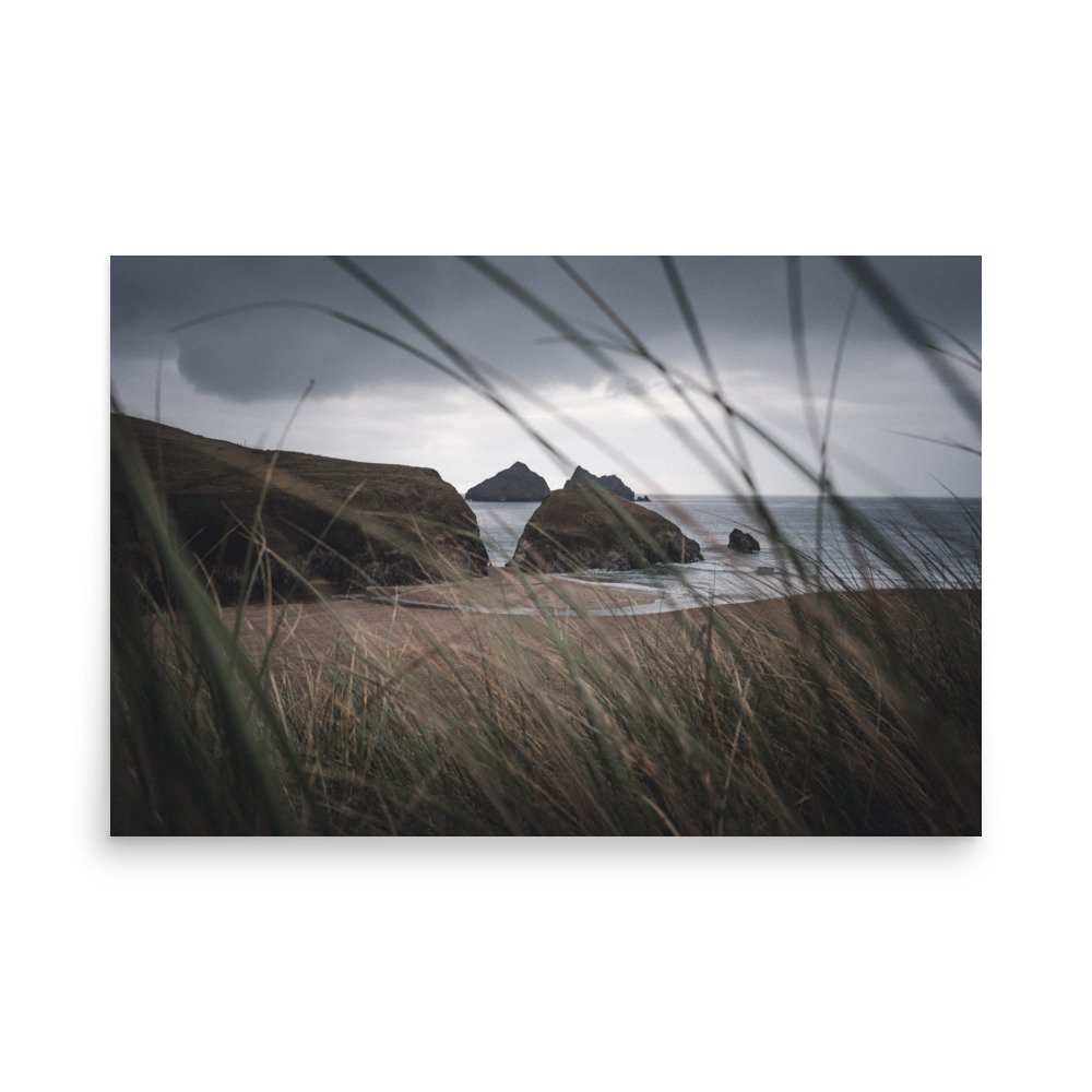 premium-luster-photo-paper-poster-(in)-24x36-front-63aba2c4423c0.jpg