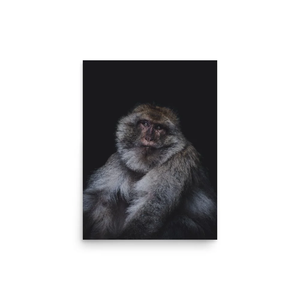 premium-luster-photo-paper-poster-(in)-12x16-front-63ad0e4c78b52.jpg