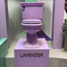 video-output-4381540D-8074-4782-A4C0-695F7E01827A_AdobeExpress.gif