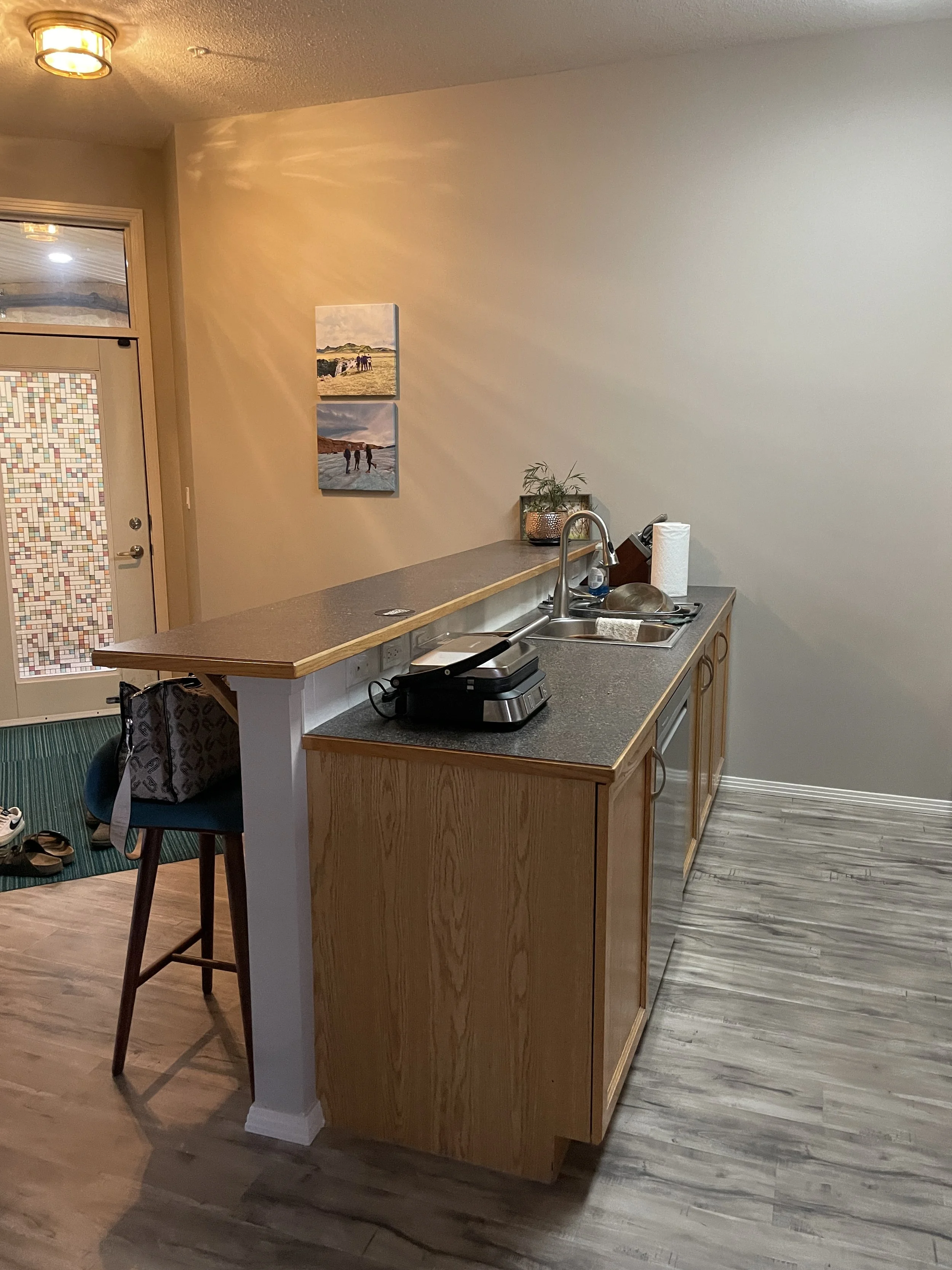 Garneau Condo Kitchen