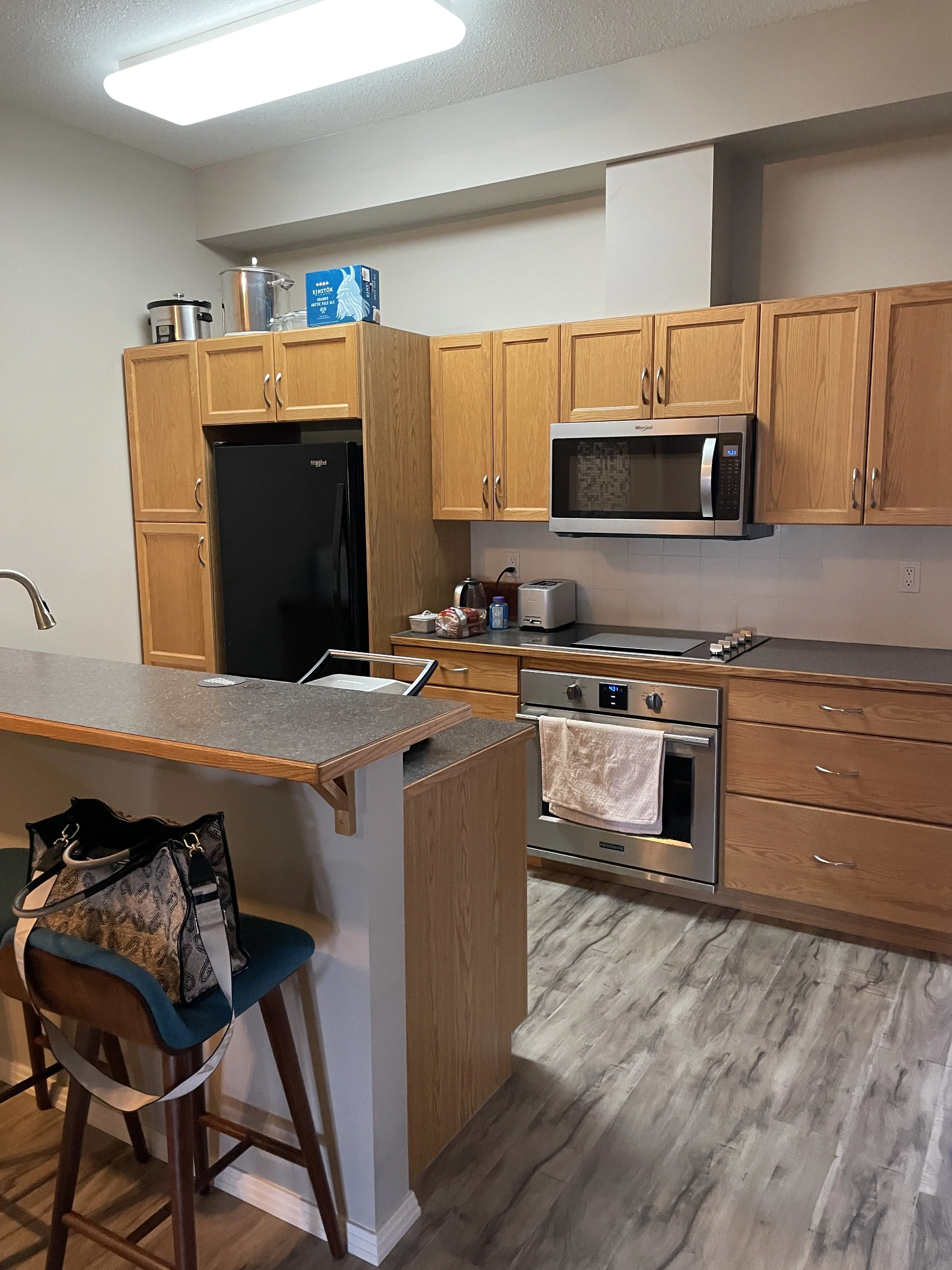 Garneau Condo Kitchen