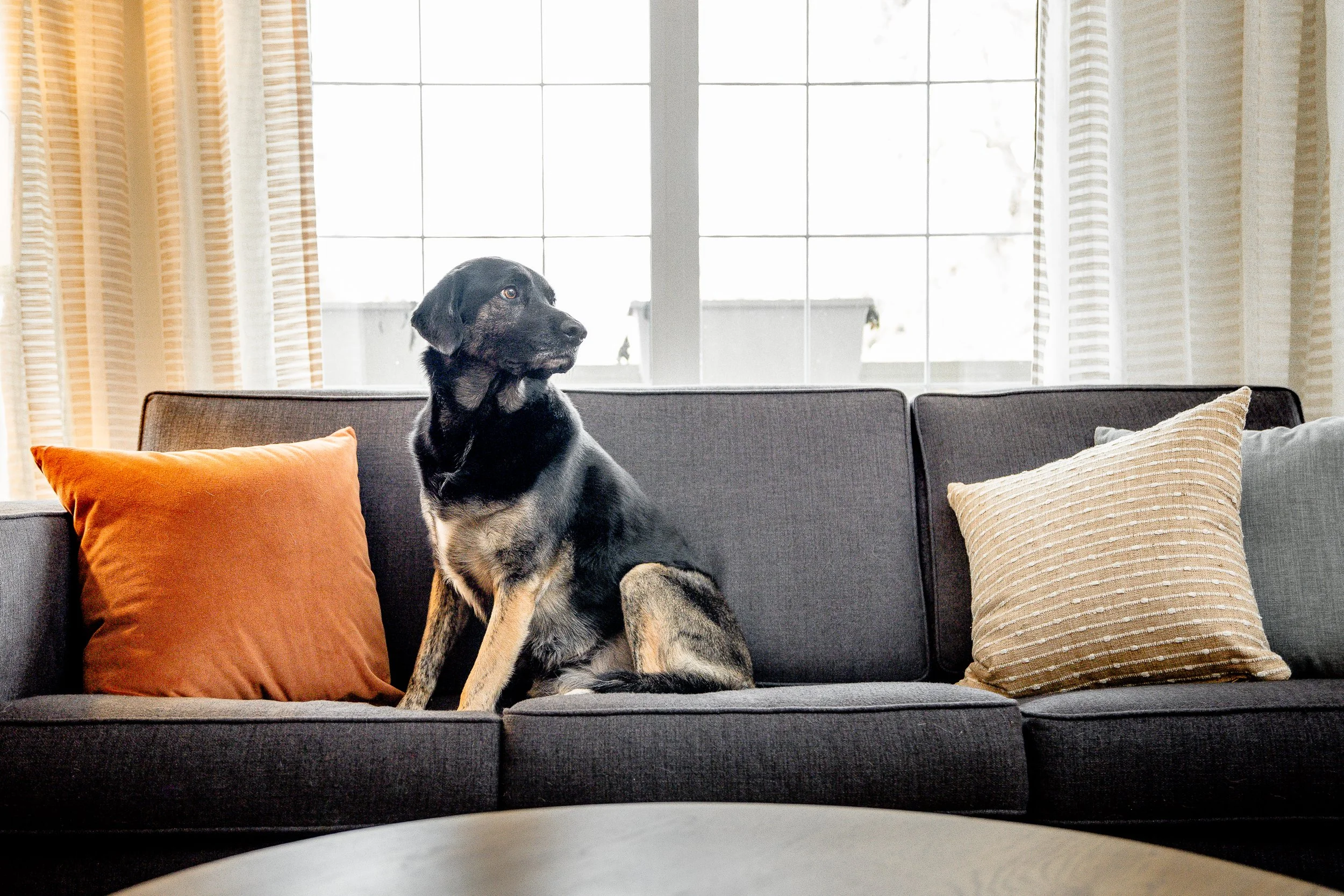 251091 KSD Hamilton-274.jpg