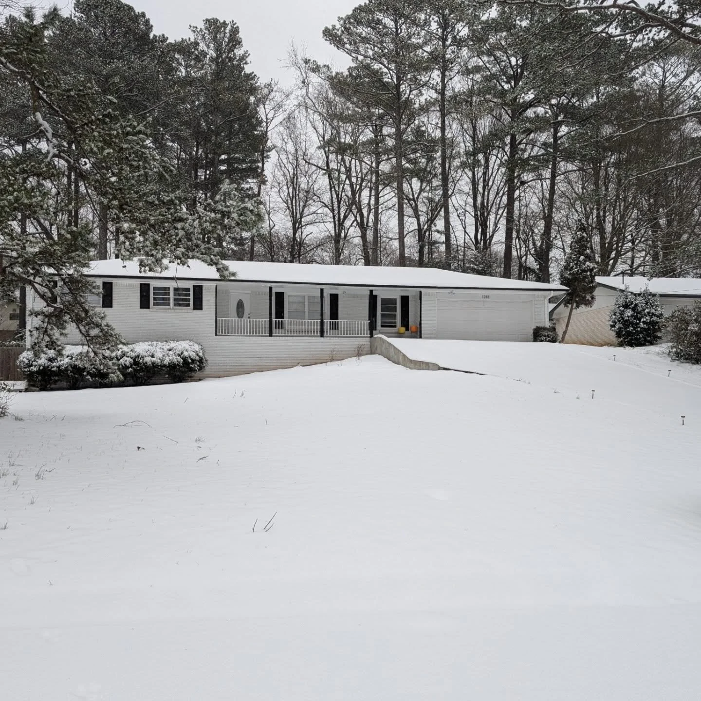 Picking a favorite photo from each month, but I picked two from one month. Oops. It's hard to pick just one!!! So much happened this year.

Atlanta snow day in January.
Millie eating daikon radish in February.
Piper sunbathing in March.
Peppers we gr