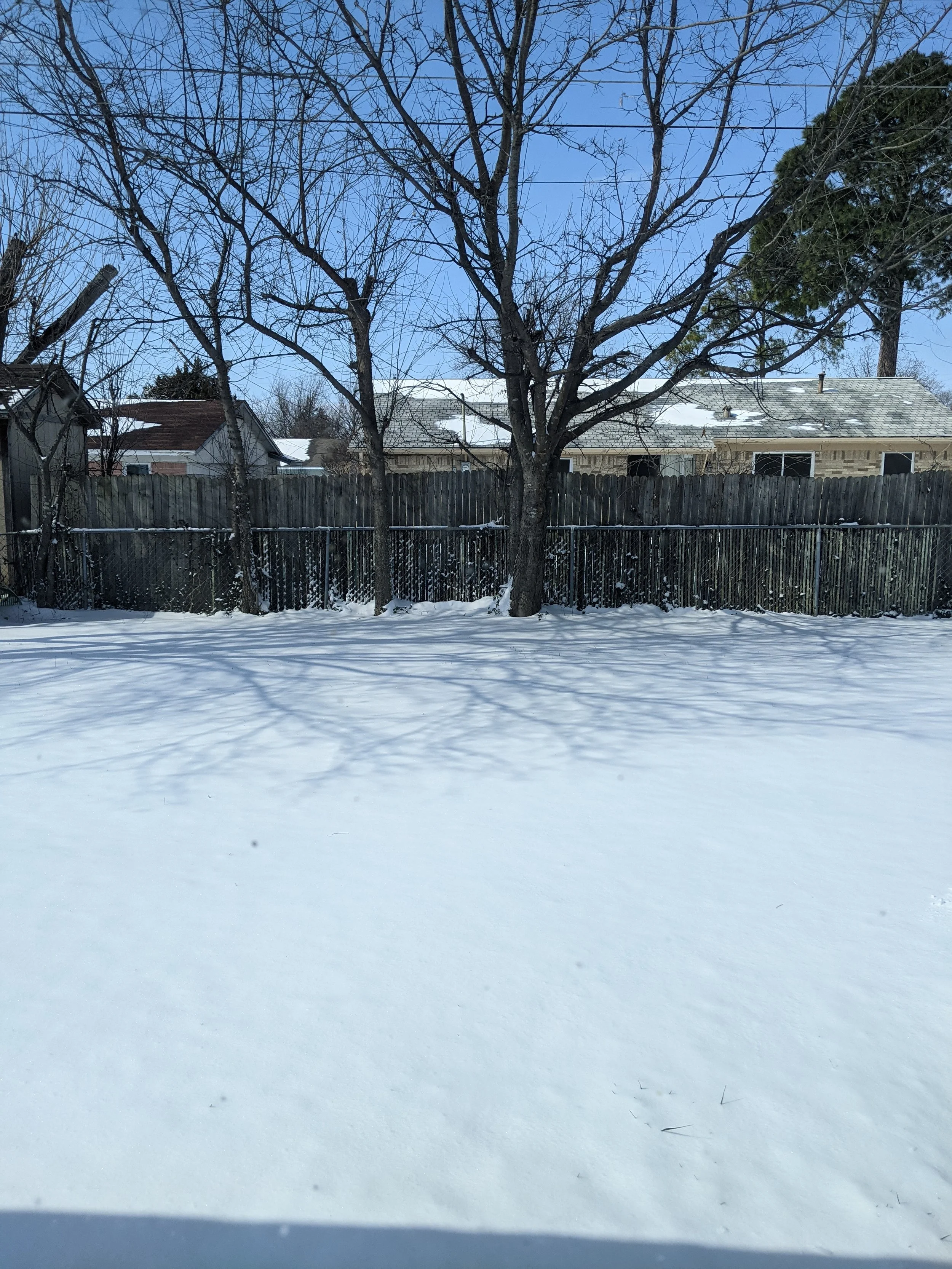 That Time It Froze When We Lived In Texas