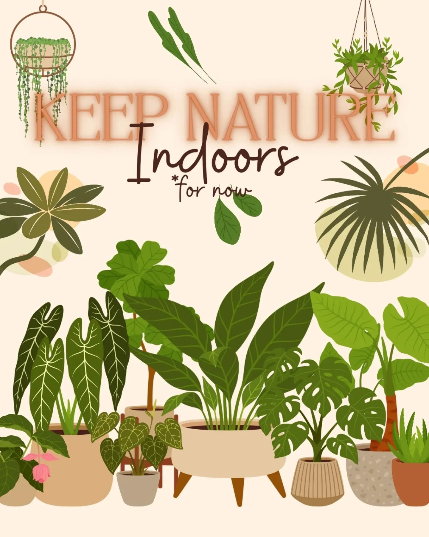 Besties, please! Don't put your plants outside for the spring and summer yet. This is a false spring. It's going to be cold again next week. Don't accidentally kill all the plant babies you kept alive through the winter!

Once the night temperature i