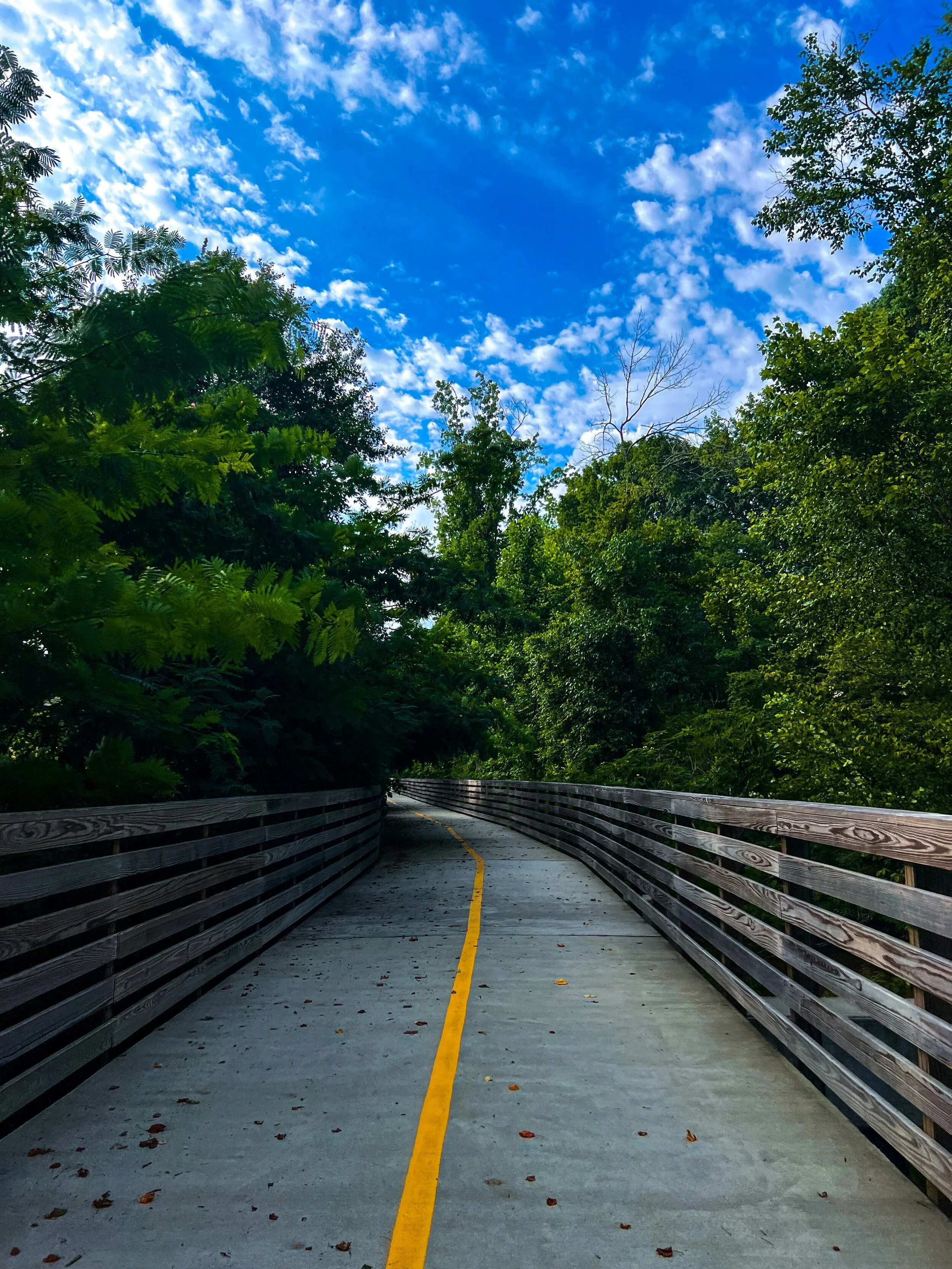 Taking a New Trail for Exercise