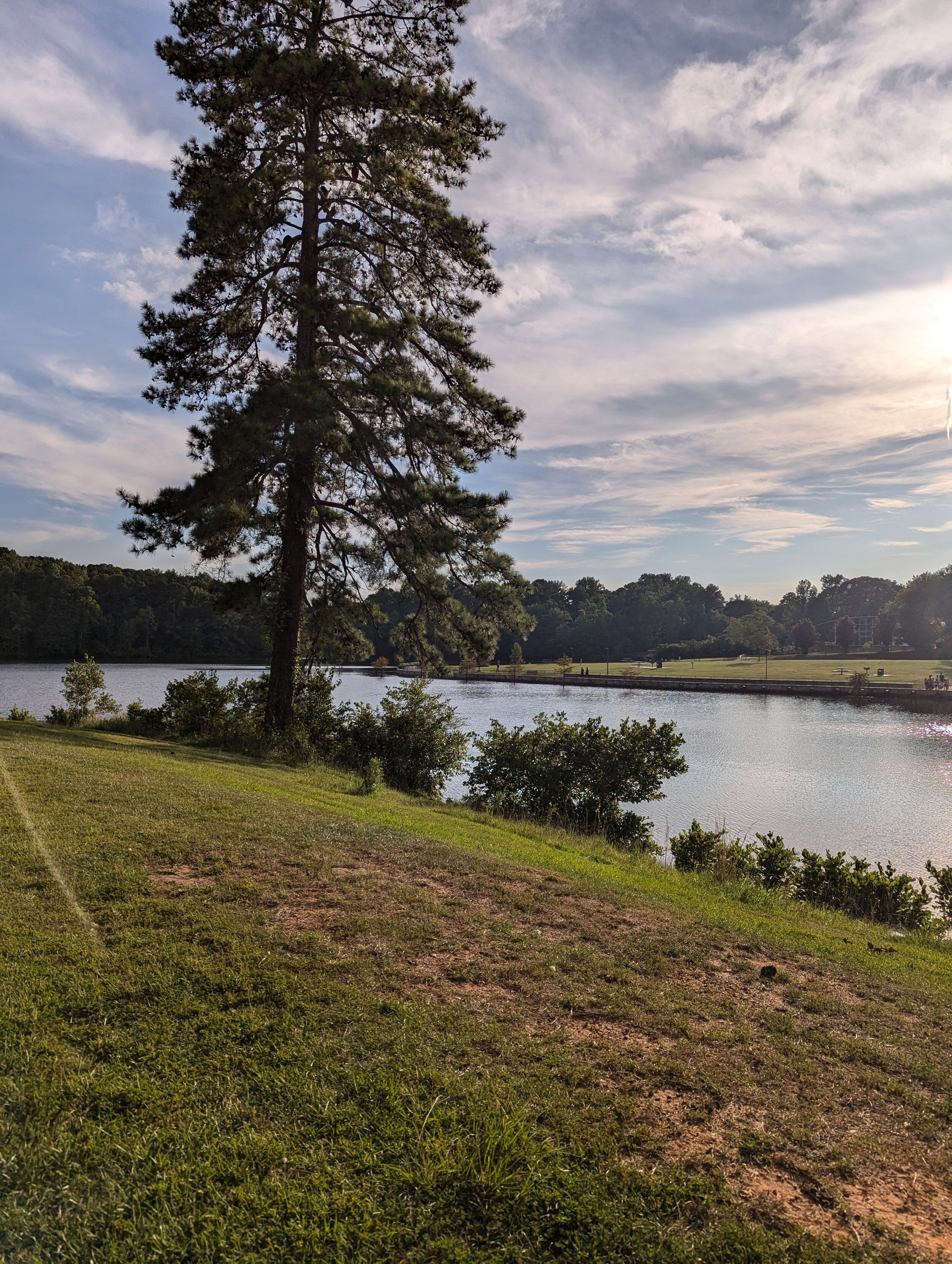 Walk in one of many Gwinnett County Parks
