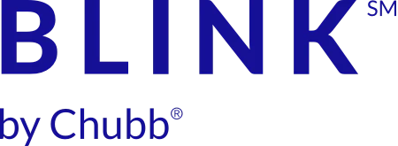Blink Logo.png