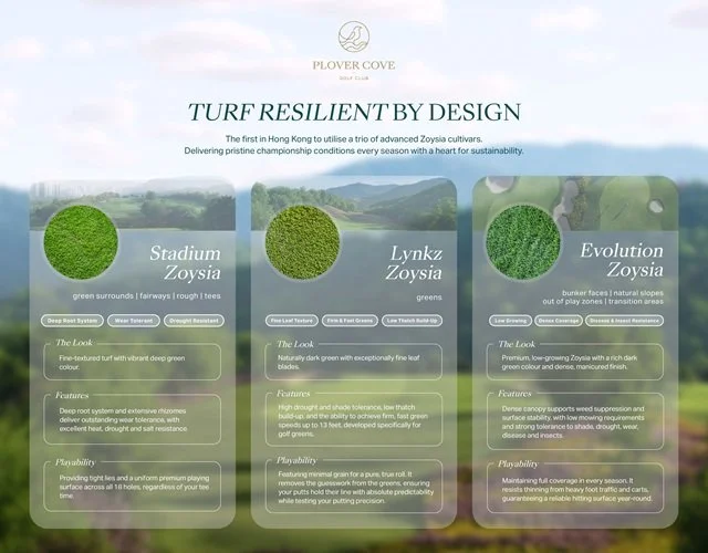 Pioneering Sustainability: Plover Cove Unveils Innovative Turf Selections