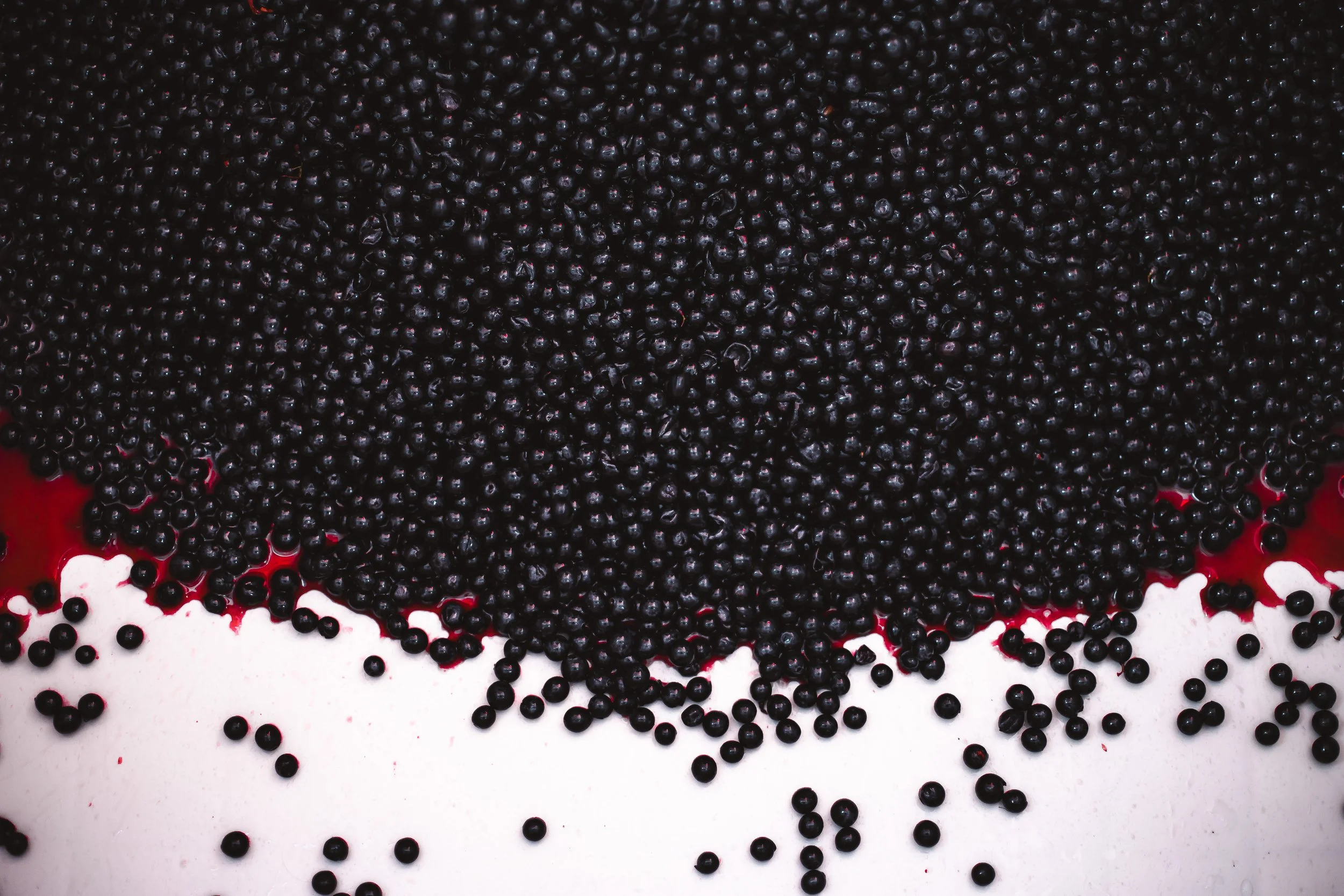 The Comeback Vintage