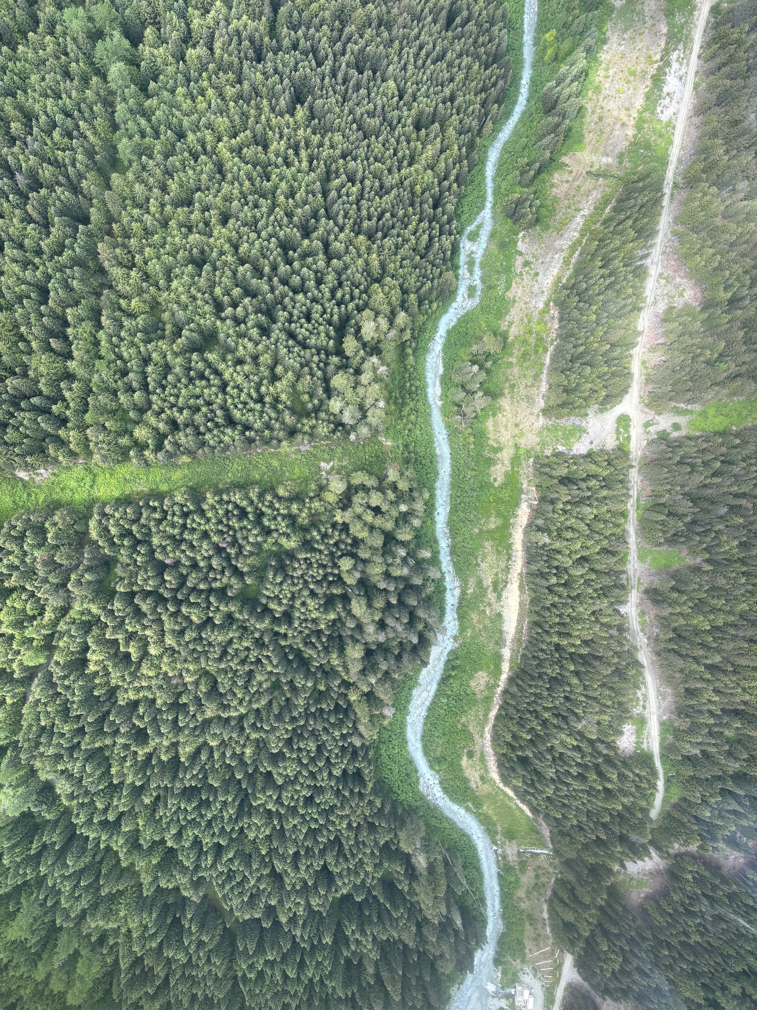 A Look Back at Summer '25