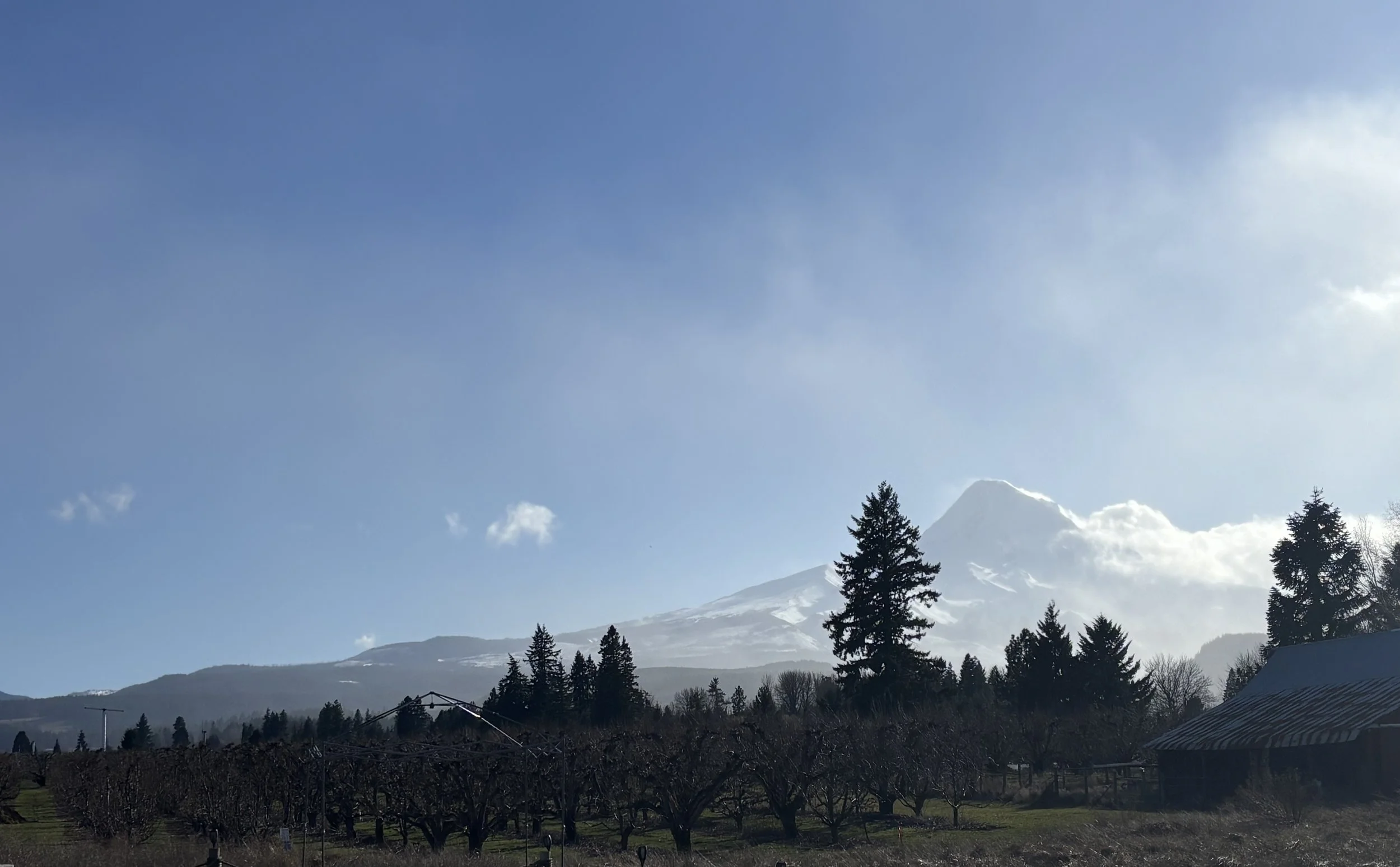Through the Lens:  Portland/Mt.Hood (Winter '26) 