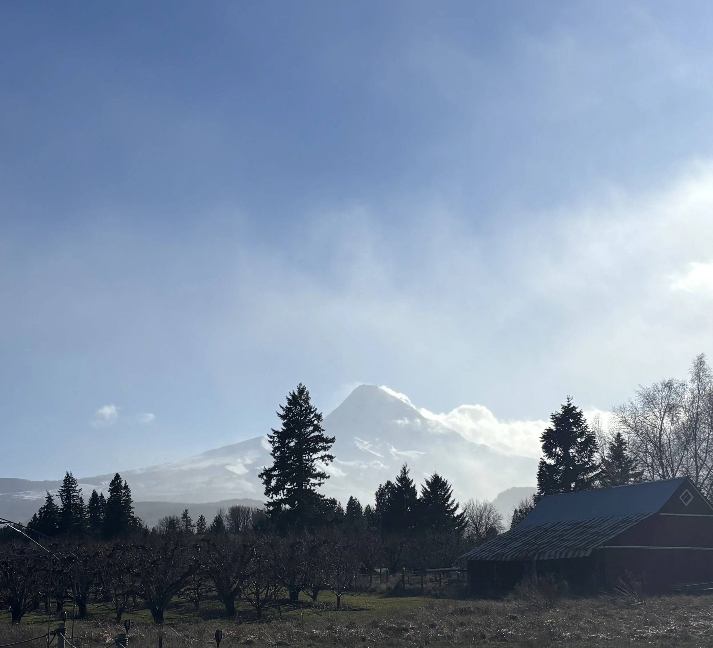MtHood1.jpeg