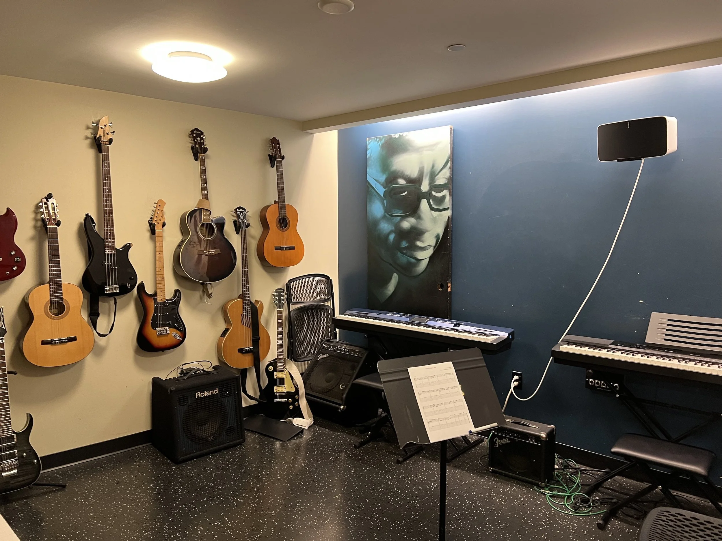ZUMIX - guitars - Tern Foundation.jpg