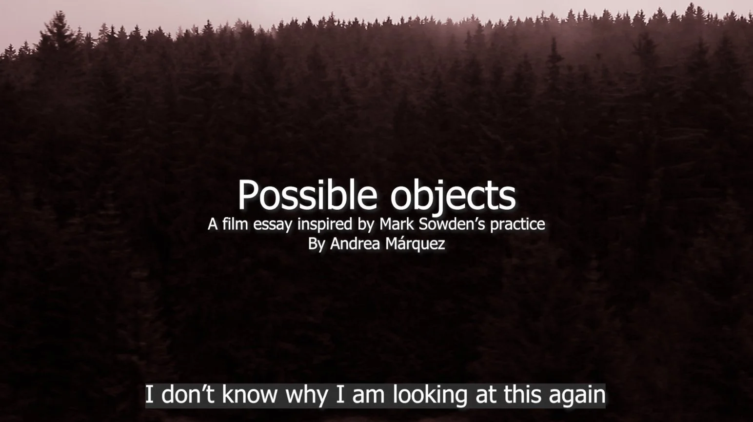 WORKING TOGETHER FILM SERIES: POSSIBLE OBJECTS + YOUTH PROTEST FILMS ...