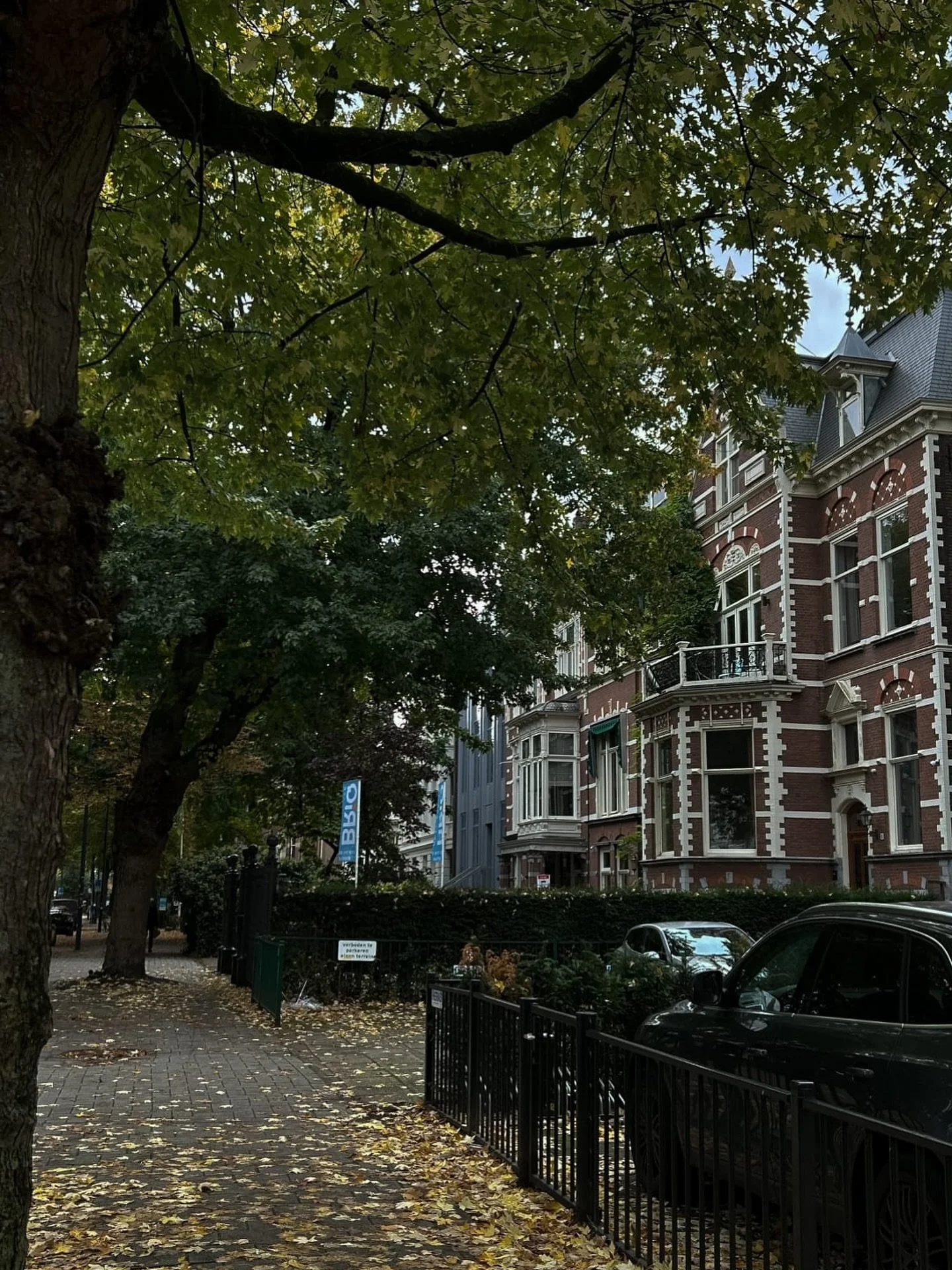 Your online presence should reflect your purpose, not just look pretty.

It should sound like you, feel like you, and connect with the people you&rsquo;re meant to reach.

Our customizable service packages are designed to bring consistency, clarity, 