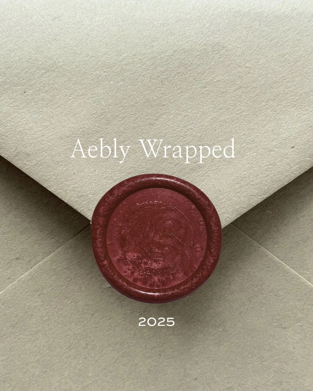 2025 Aebly wrapped 🎁

This year, we had the honor of serving 24 clients over the year from admin assistance, social media management, branding, web design, client care, and more. 

It was a year of growth, refinement, and meaningful partnerships. Th