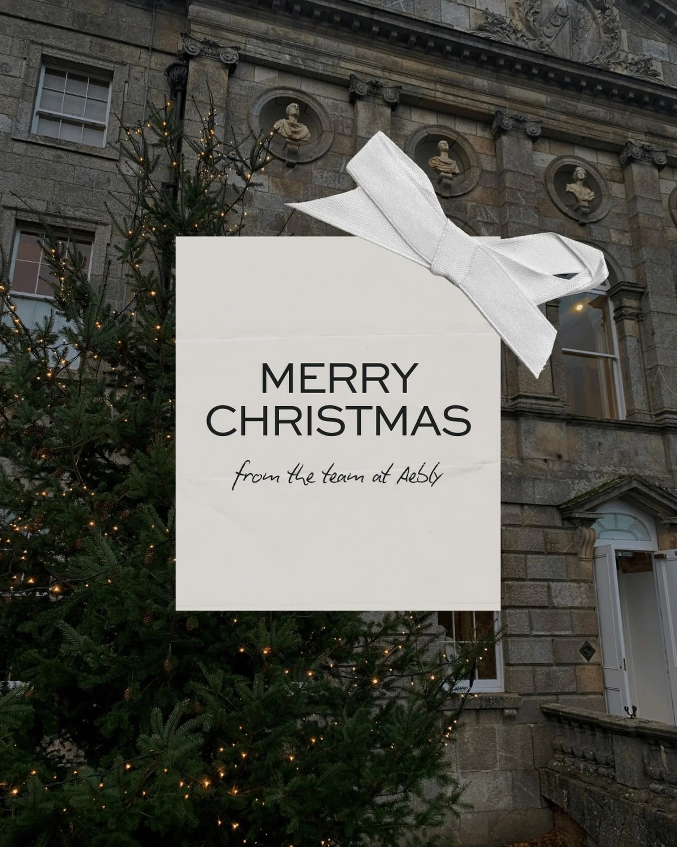 Merry Christmas from the team at Aebly 🤍